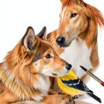 Page Street Publishing Watercolor Art Book Plant Animal-0